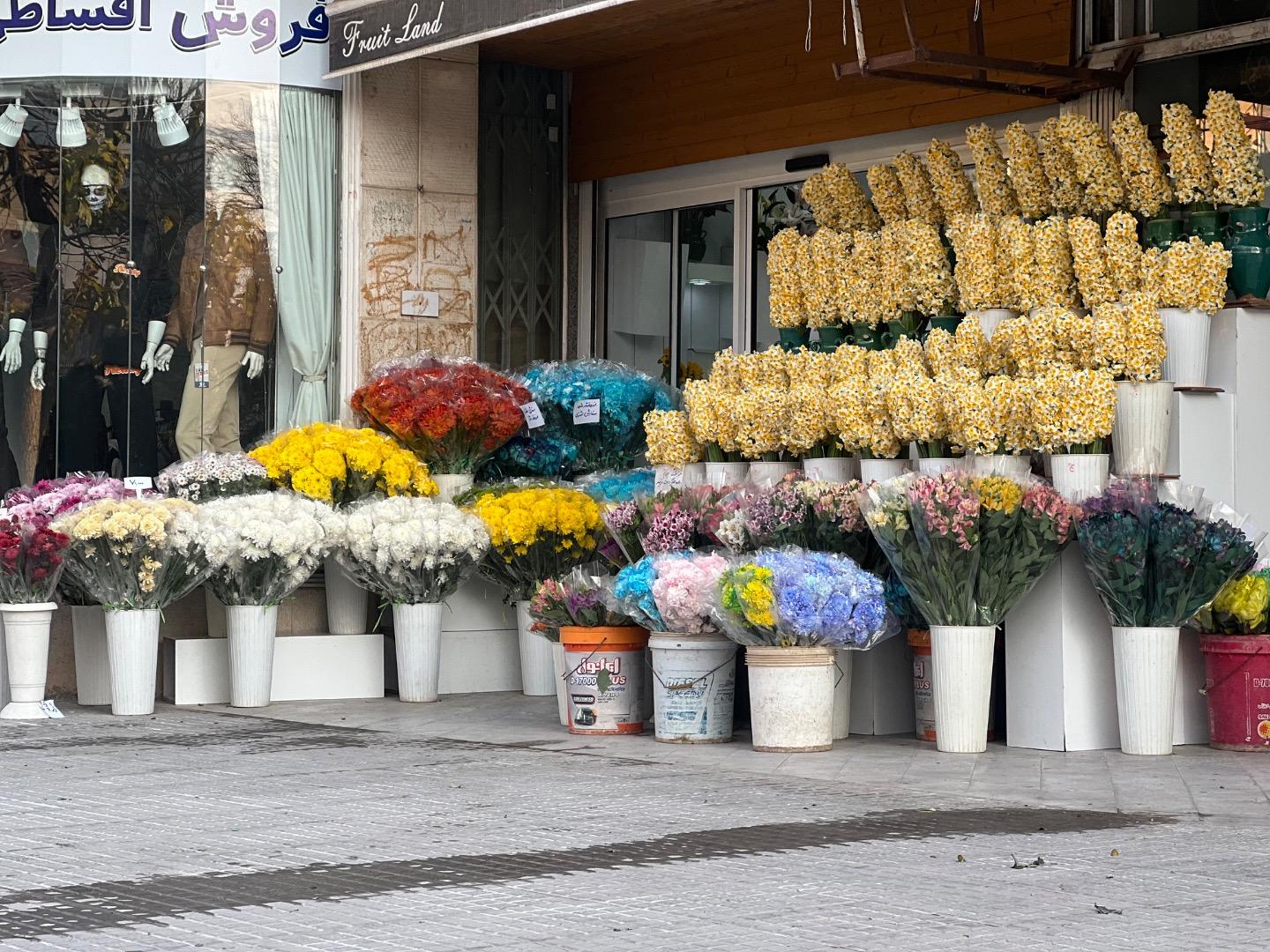 عکس گل كامليا