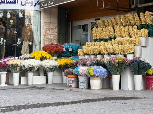 عکس گل كامليا