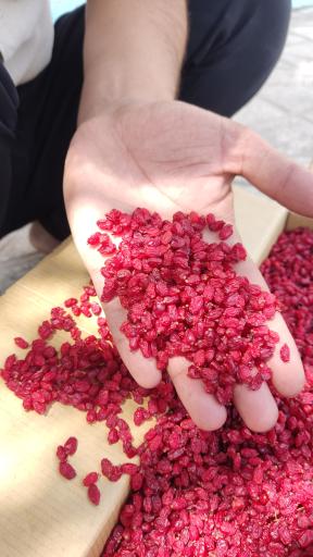 عکس زعفران مطمئن