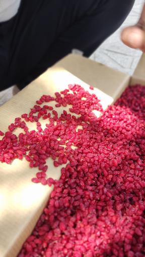 عکس زعفران مطمئن