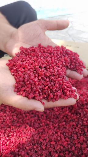 عکس زعفران مطمئن