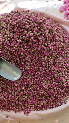 عکس گلابگیری سماء