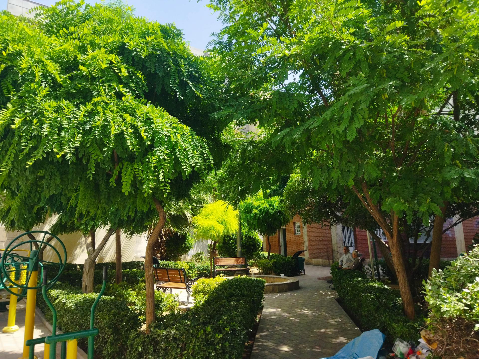 عکس پارک فرزین