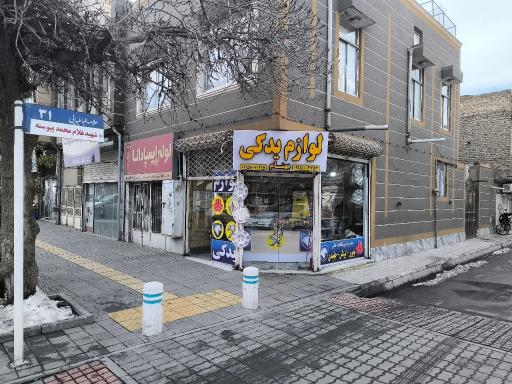 عکس جلوبندی و مکانیکی شاهین