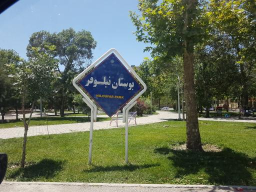 عکس پارک نیلوفر
