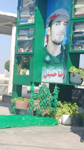 عکس مزار شهید رضا حسینی