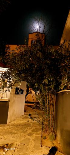 عکس مجموعه ورزشی پرانا