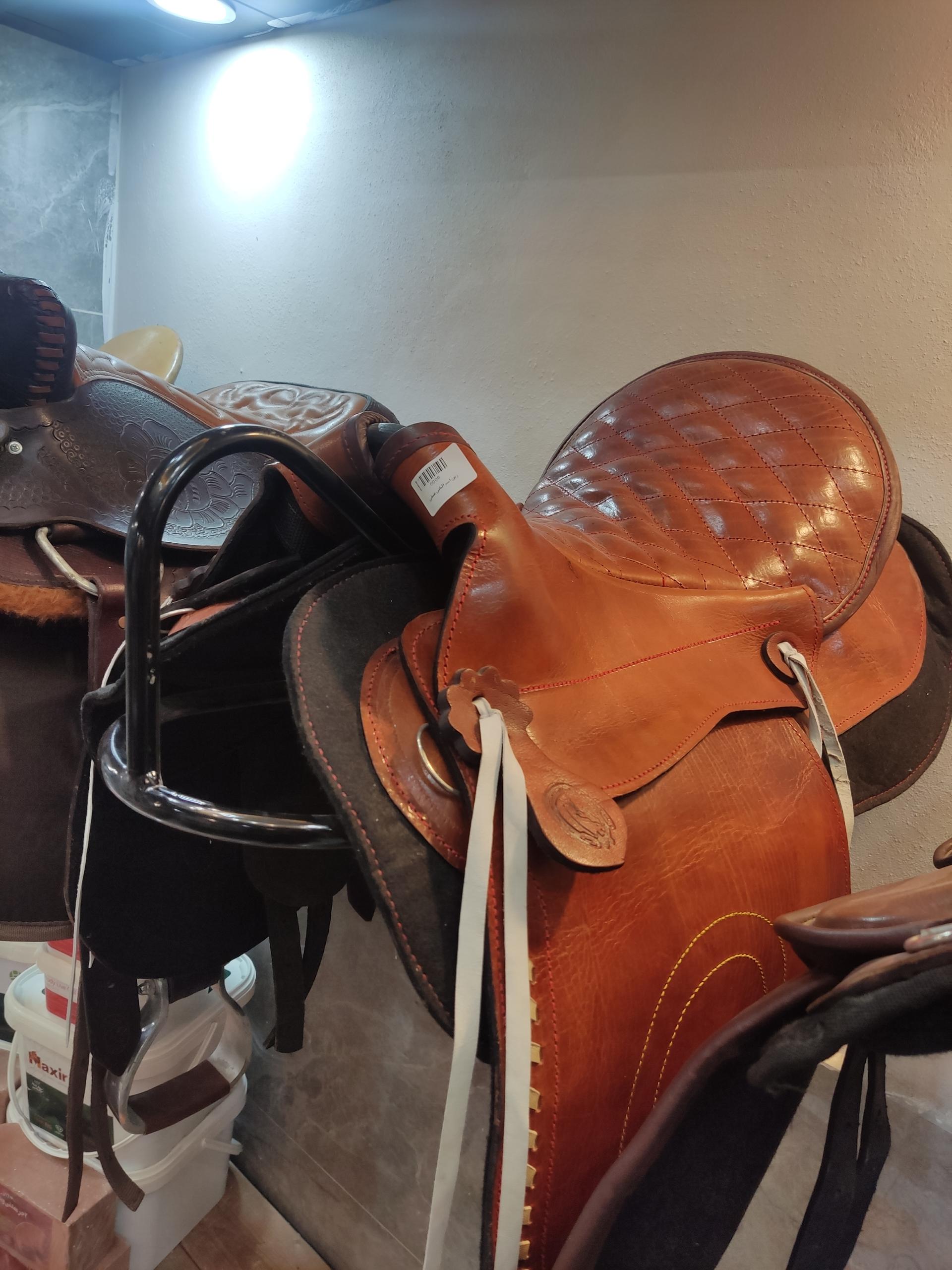 عکس پرنده فروشی هورس