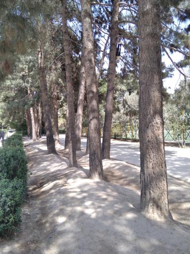 عکس پارک 22 بهمن