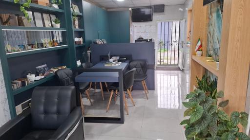 عکس دکوراسیون کارنو احمدی