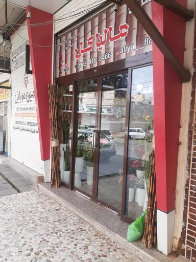 عکس عالیا گل