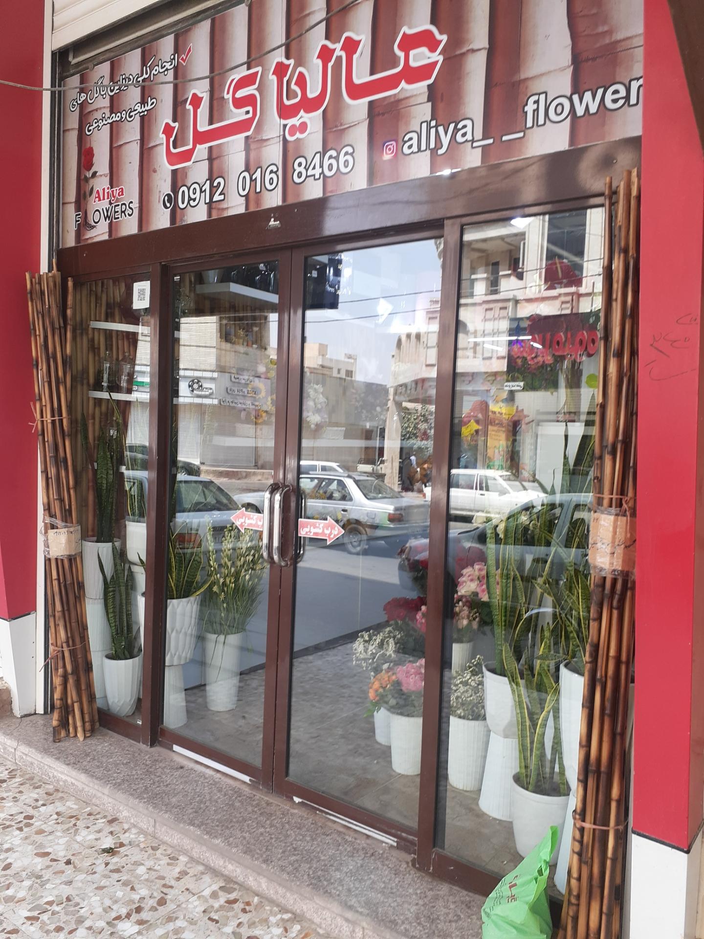 عکس عالیا گل