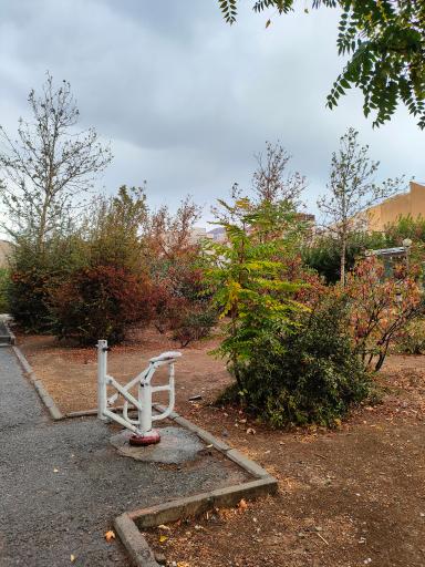 عکس پارک مهاجر