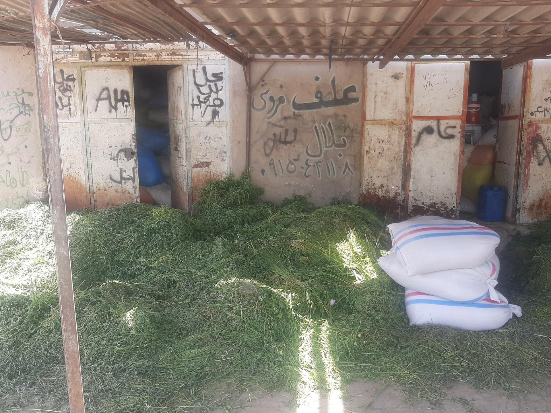 عکس علف فروشی بلال