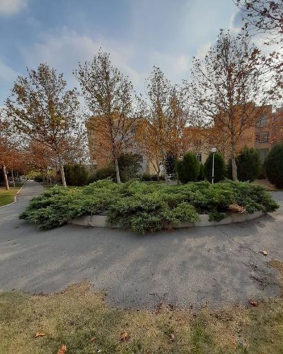 عکس پارک مهاجر