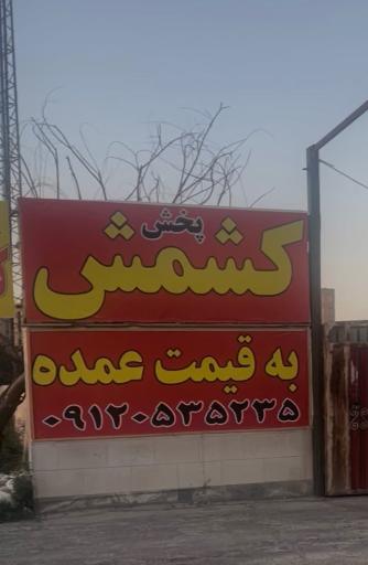 عکس پخش کشمش عظیمی
