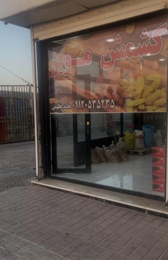 عکس پخش کشمش عظیمی