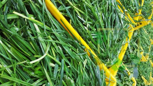 عکس سبزی کده خاتون