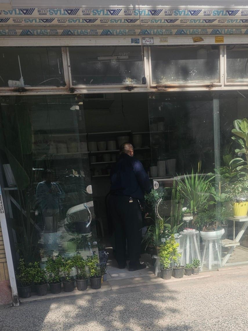 عکس گل فروشی