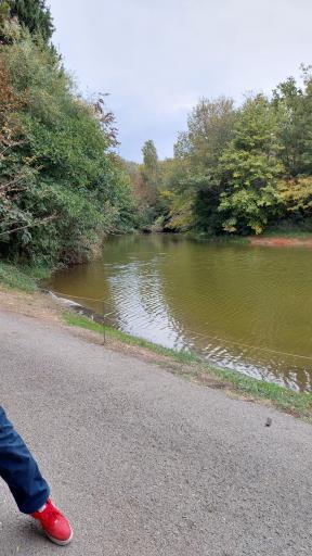 عکس دریاچه باغ گیاه‌شناسی تهران