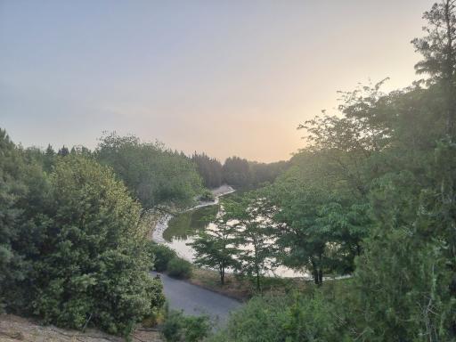 دریاچه باغ گیاه‌شناسی تهران