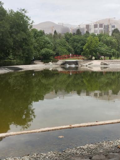 عکس دریاچه باغ گیاه‌شناسی تهران