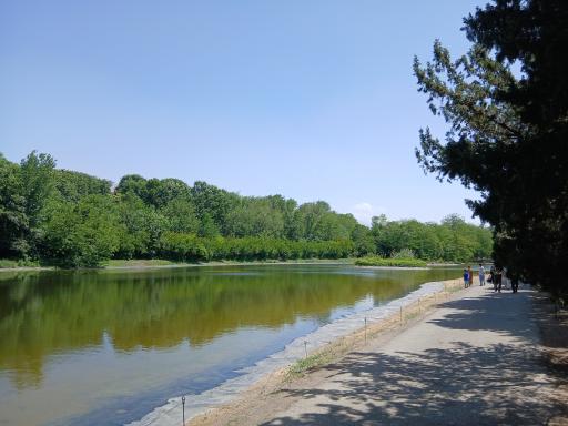 عکس دریاچه باغ گیاه‌شناسی تهران