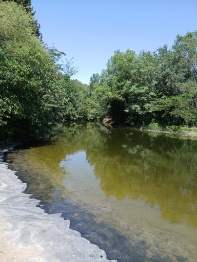 عکس دریاچه باغ گیاه‌شناسی تهران