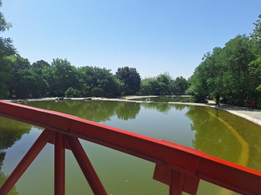 عکس دریاچه باغ گیاه‌شناسی تهران