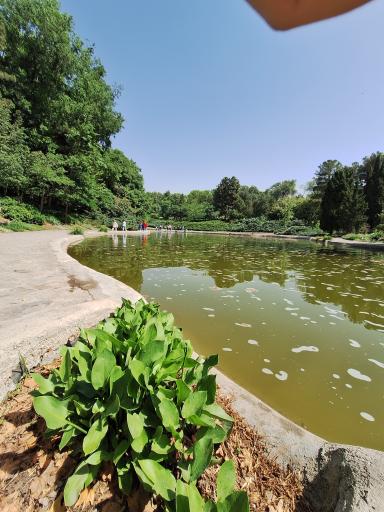 دریاچه باغ گیاه‌شناسی تهران