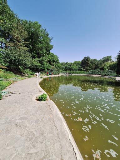 عکس دریاچه باغ گیاه‌شناسی تهران