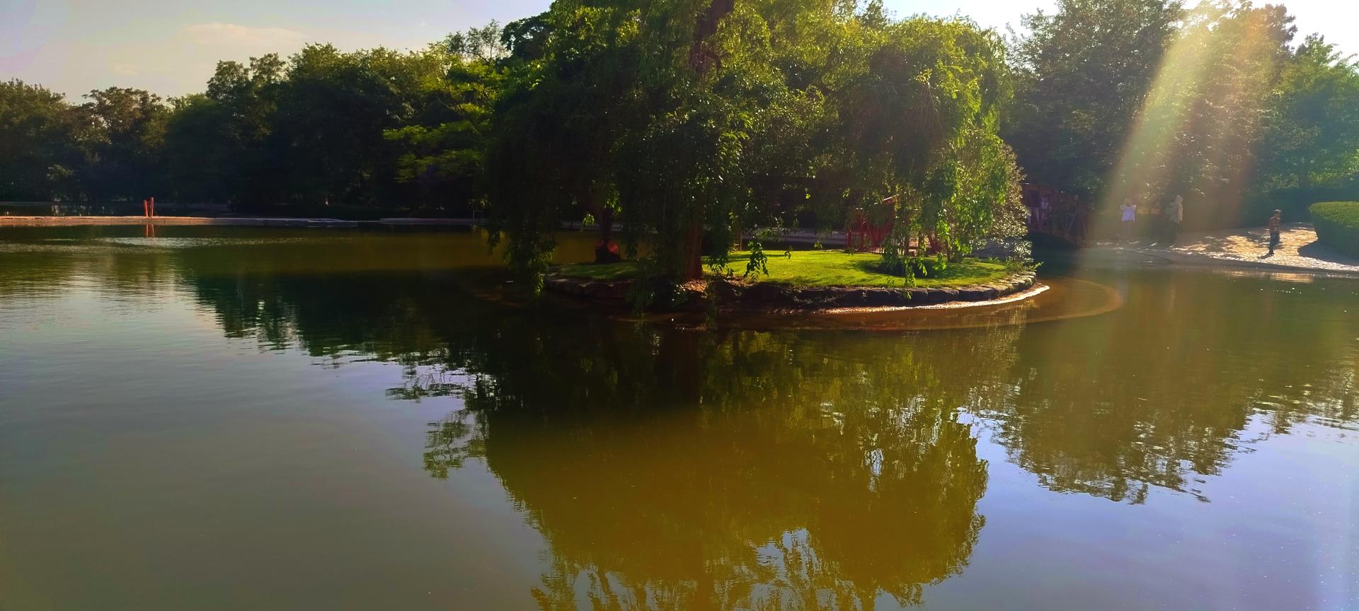 عکس دریاچه باغ گیاه‌شناسی تهران