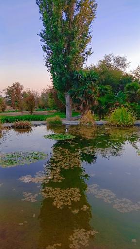 عکس دریاچه باغ گیاه‌شناسی تهران