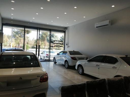 عکس اتوگالری هامون