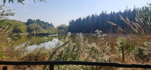 دریاچه باغ گیاه‌شناسی تهران