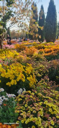 عکس دریاچه باغ گیاه‌شناسی تهران