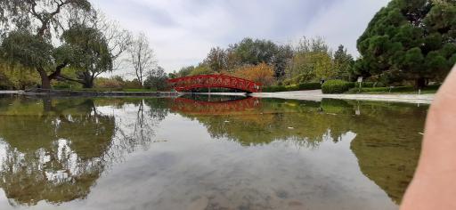 عکس دریاچه باغ گیاه‌شناسی تهران