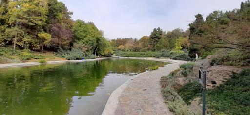 عکس دریاچه باغ گیاه‌شناسی تهران