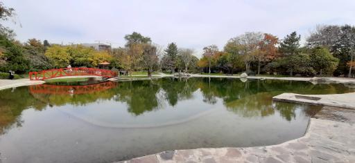 عکس دریاچه باغ گیاه‌شناسی تهران