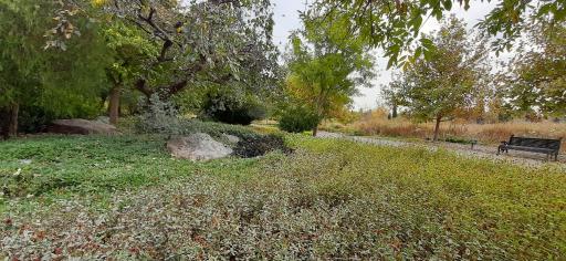 عکس دریاچه باغ گیاه‌شناسی تهران