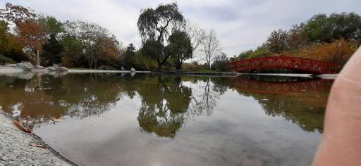 عکس دریاچه باغ گیاه‌شناسی تهران