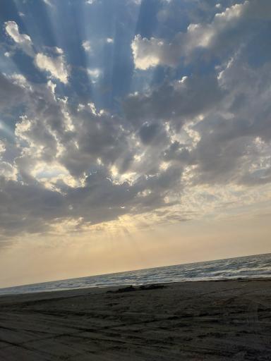 عکس جویبار