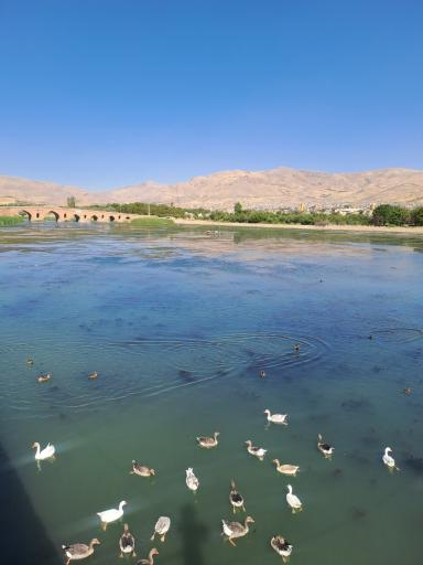 عکس پل تاریخی قشلاق( سد وحدت)