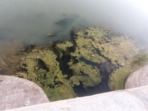 عکس پل تاریخی قشلاق( سد وحدت)