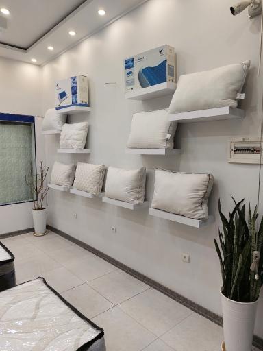 عکس فروشگاه تشک آکسون