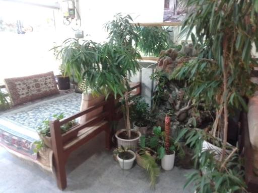 عکس غذای سبحان