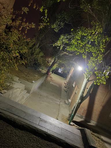 عکس دانشگاه فرهنگیان پردیس علامه امینی (برادران)