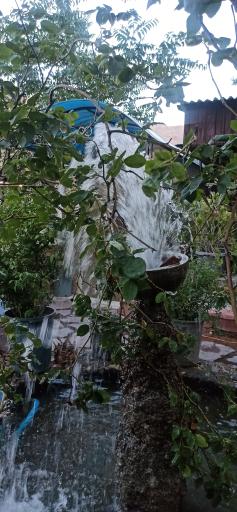 عکس باغ رستوران گل سنگ