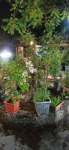 عکس باغ رستوران گل سنگ