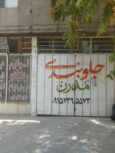 جلوبندی خودرو